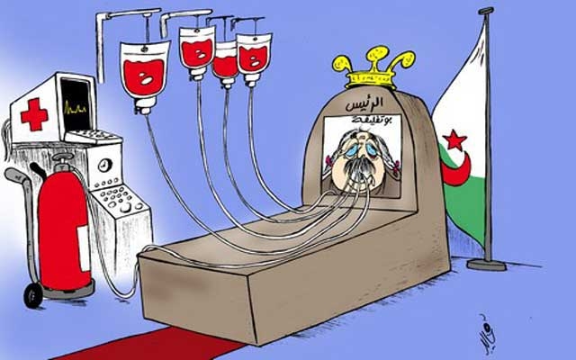 فرادة الإستراتيجية المغربية في مكافحة الإرهاب تثير غيرة وحماقة النظام الجزائري الـ "ميت حي يحتضر"