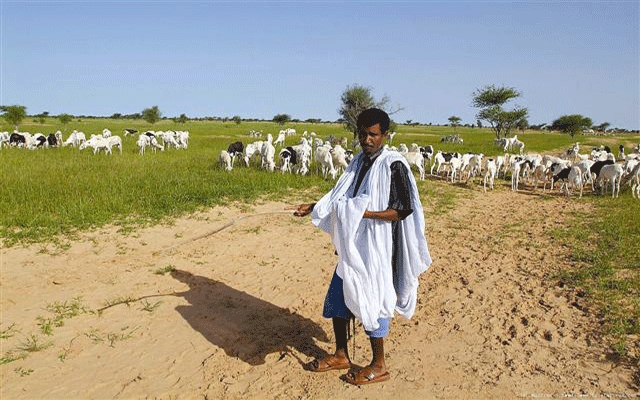 بسبب ارتفاع استهلاك الإبل الموريتانية لمياهها..السنغال تطرد الموريتانيين من أراضيها