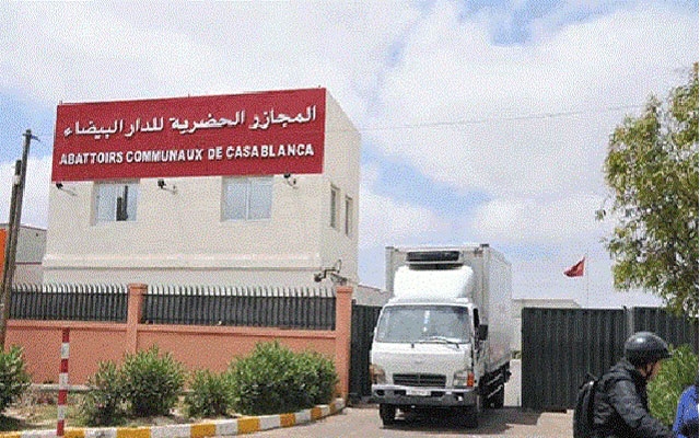 لمن يرغب في الذبح بمجزرة البيضاء.. 4800 للراس و 480 للمباتة