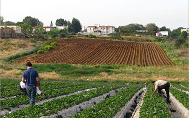 ربع أراضي المغرب الزراعية في الطريق إلى الزوال مع حلول 2050