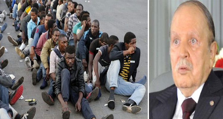 الأمم المتحدة لـ" الجزائر": توقفي عن عمليات الطرد الجماعي للمهاجرين من جنوب الصحراء