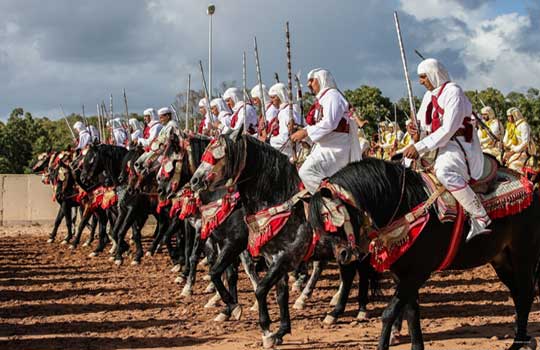 سربات خيل جهة الدار البيضاء تتربع على عرش معرض الفرس بالجديدة