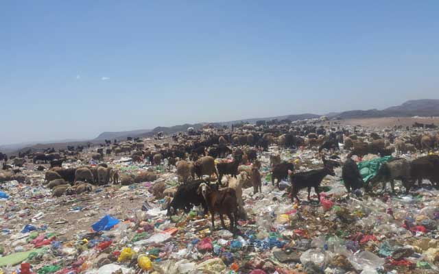 ترميكت بورزازات: "مزابل قوم عند قوم موائد"