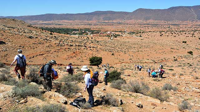 شراكة المغرب مع إيرلندا تثمر أول متحف للتاريخ الطبيعي