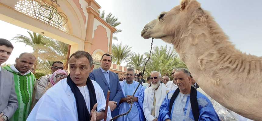 قبائل الصحراء تهدي الشامي جملا بما حمل.. وهذا رد فعله   (مع فيديو)