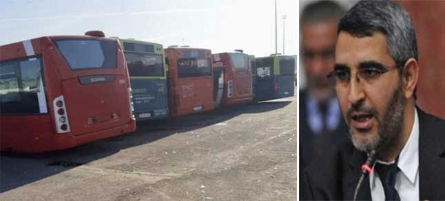 العماري يتسول خردة الحافلات الإيطالية لتعذيب البيضاويبن