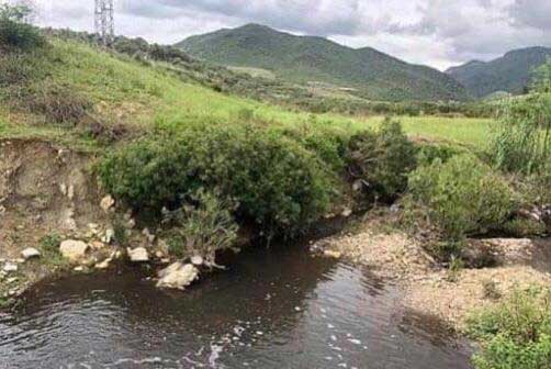 أرباب معاصر الزيتون بوزان يخرقون "الإجماع الوطني" في زمن الكورونا