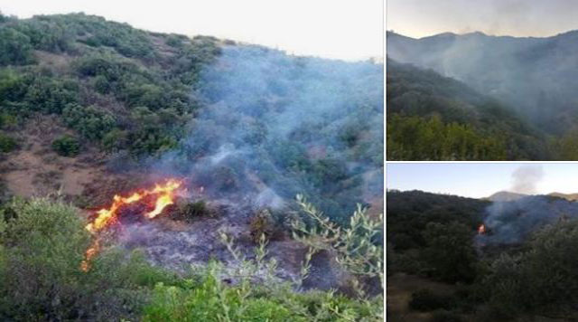 اندلاع حريق مهول في غابة اغواطيم بإقليم الحوز