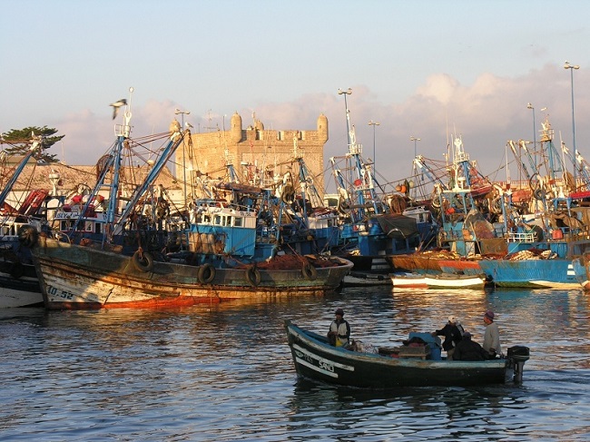 تعقيم شامل لمرافق ميناء الصويرة بعد ظهور بؤرة وبائية بسوق السمك
