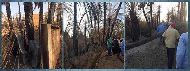 كلميم: مأساة  "قرية  تغمرت" بعد الحريق المهول  للواحة  الجاذبة للسياحة الإيكولوجية
