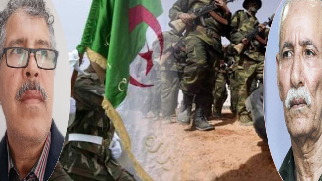 الركيبي : إعلان " البوليساريو" الحرب على المغرب هو قرار جنيرالات الجزائر