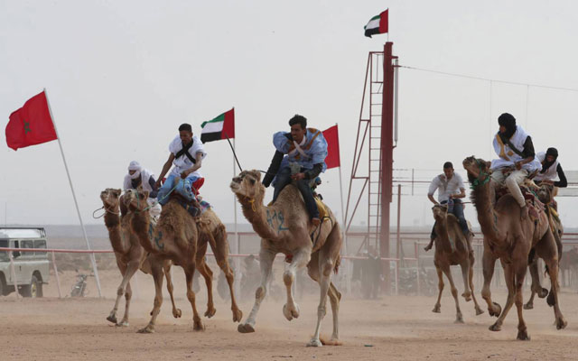 مضمار الشيخ زايد بطانطان.. استئناف سباقات الهجن بعد أزيد من سنة من التوقف