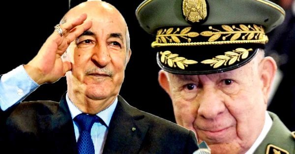 أبو وائل: حكام الجزائر فقدوا ما تبقى من ماء الوجه أمام شعبهم والعالم