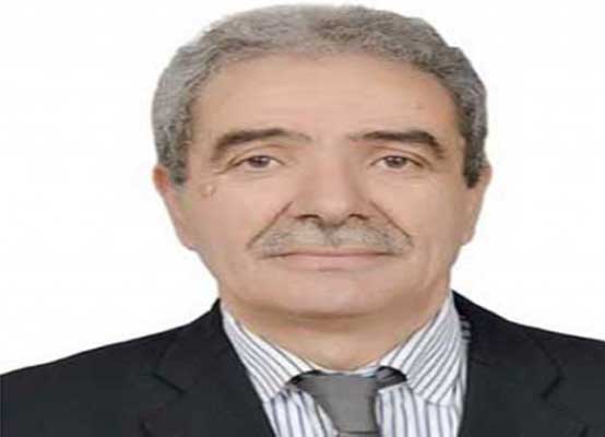 العمراني: تغول الخبراء وتأثيره على مستقبل التداول الديمقراطي