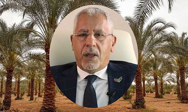 عبد الوهاب زايد: عن النخيل في القرآن والسنة وأهمية فوائد تناول التمور