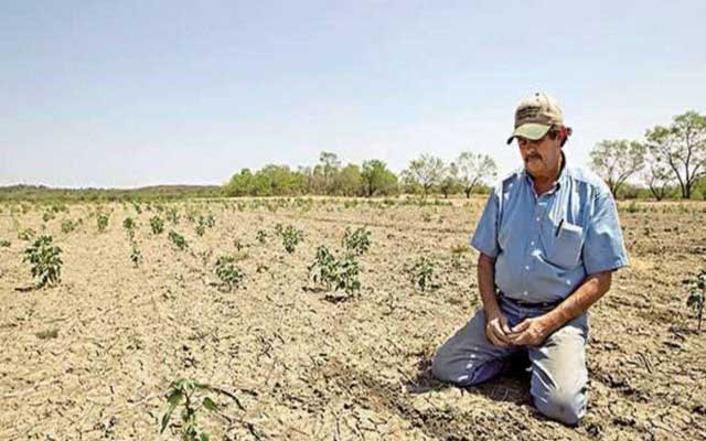 حالة من القلق في أوساط الفلاحين بسبب احتباس المطر