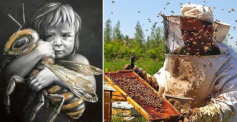 مربو النحل يضعون أيديهم على قلوبهم بعد تسجيل انهيار خلايا النحل