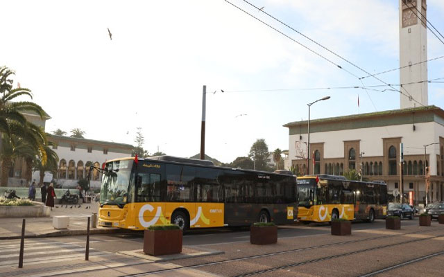 البيضاء: حافلات "ألزا" تضيف 7 خطوط جديدة