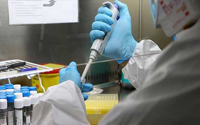 تسجيل 500 إصابة جديدة بفيروس كورونا بالمغرب