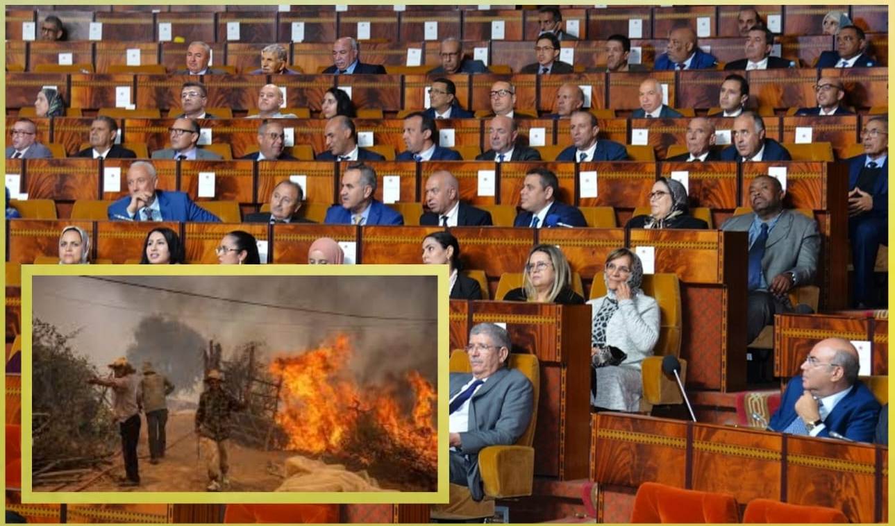 مطالب برلمانية للحكومة بتوفير الدعم لضحايا الحرائق