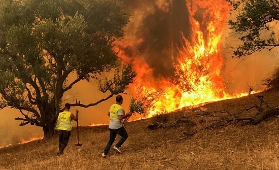 وفاة 26 شخصا بسبب الحرائق في الجزائر