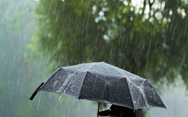 الأرصاد الجوية: طقس الأحد..  ضباب وجو ماطر بهذه المناطق
