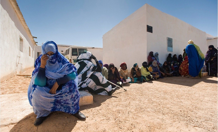 تحالف يدعو الجزائر إلى جبر ضرر ضحايا التعذيب على يد البوليساريو بتندوف