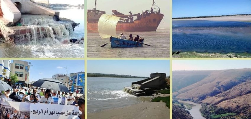 مصب أم الربيع.. الطفل اليتيم لحكومة أخنوش