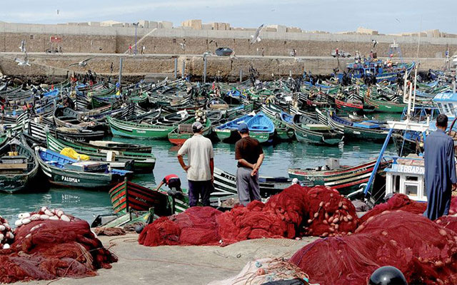 ميناء آسفي يعلن فشل مخطط "أليوتيس".. انخفاض منتوجات الصيد الساحلي والتقليدي بنسبة 78 بالمائة 