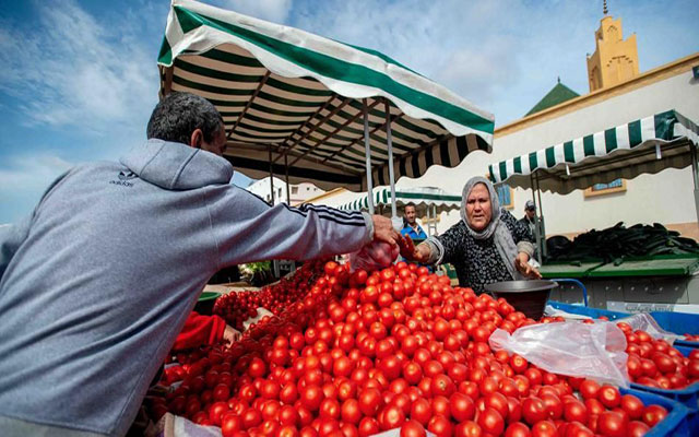 تراجع طفيف في أسعار الطماطم بالأسواق الشعبية لمدينة الدار البيضاء