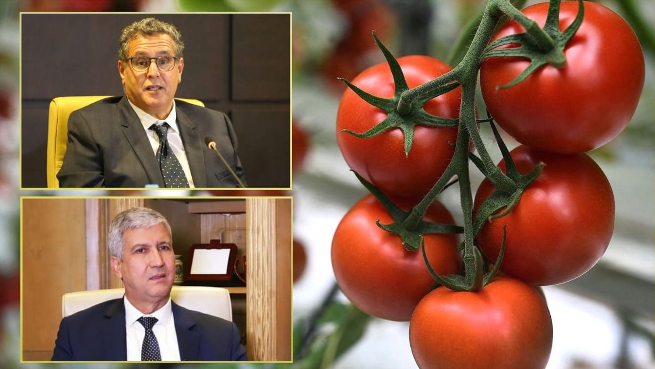 الطماطم المغربية تباع أغلى للمغاربة من الأوربيين!!