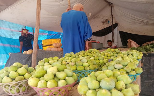 خريبكة... بلدة "عين قيشر" أكسبها التّين شهرة وطنية