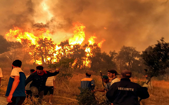 الحرائق تتجدد في غابات شرق الجزائر