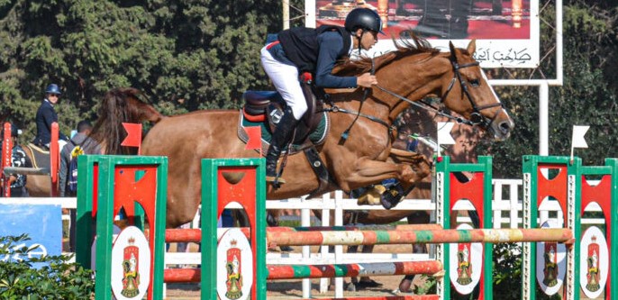 الحصان "فيكا غرين" يفوز بجائزة  الملك محمد السادس للخيول العربية الأصيلة