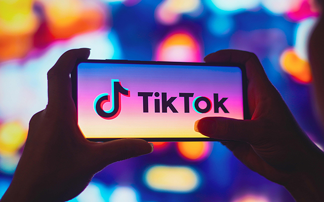 القبض على لص لعرضه بضائع مسروقة على TikTok