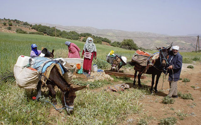 جامعيون وباحثون ومهتمون بالثقافات والهوية في رحلة سبعة أيام بالبادية المغربية