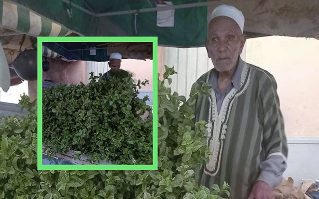 نّعناعُ تيزنيت.. رَائحةُ التّاريخ والنّكهة المُميّزة