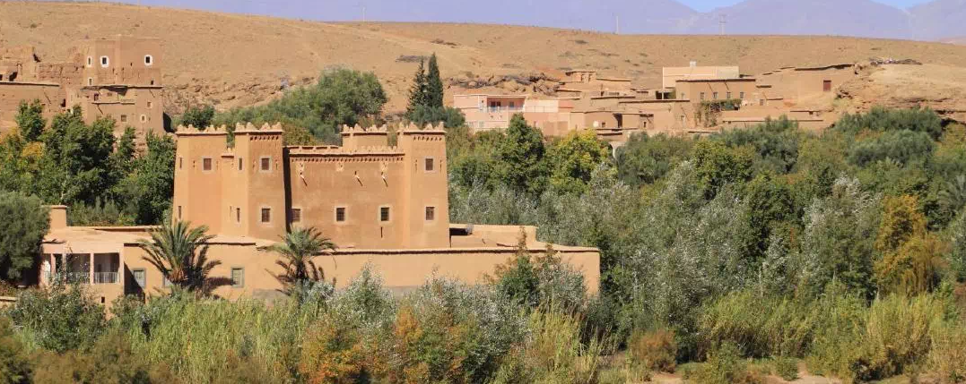 ممثل الفاو في المغرب: ميثاق الواحات المستدامة مشروع مهم للحفاظ على مناطق الواحات