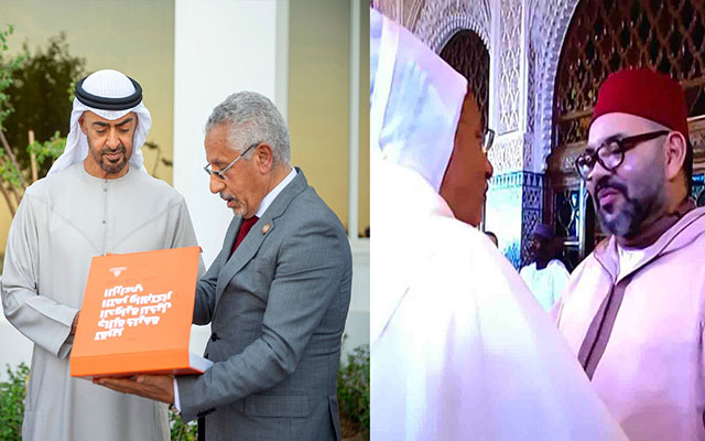 الخبير زايد: زراعة النخيل شهدت تطورا كبيرا مما سيمكن من تلبية احتياجات المستهلك المغربي في السنوات المقبلة